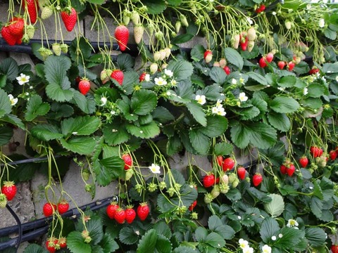 51701560_1874364616006917_612555855027503104_n