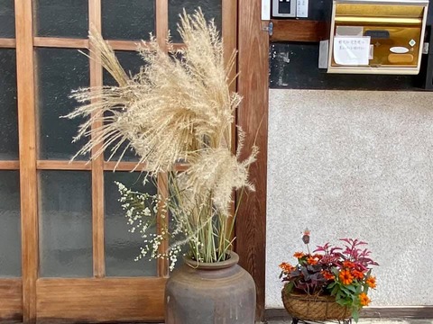 247225546_4198255133617842_4023195096252000573_n