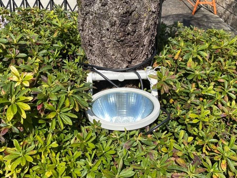 163226860_3582798971830131_1603402319177694479_n