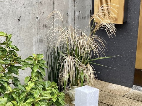 306999867_5270932099683468_3299262546621563996_n