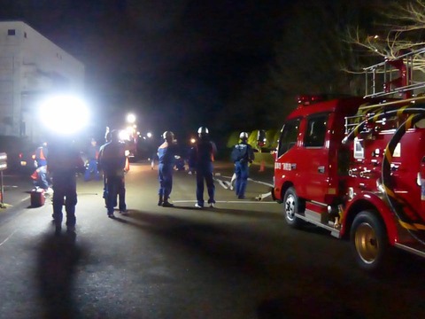 17457621_1140638869379499_1748149844038796562_n