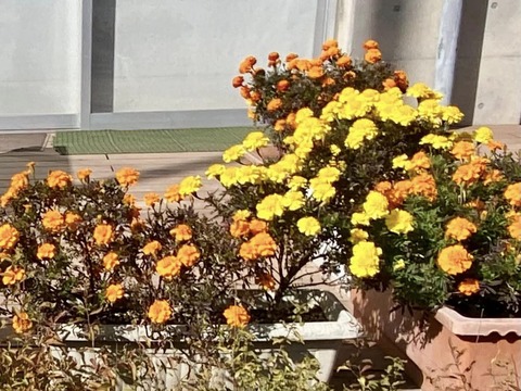 410504446_6663231967120134_1239168330668549264_n