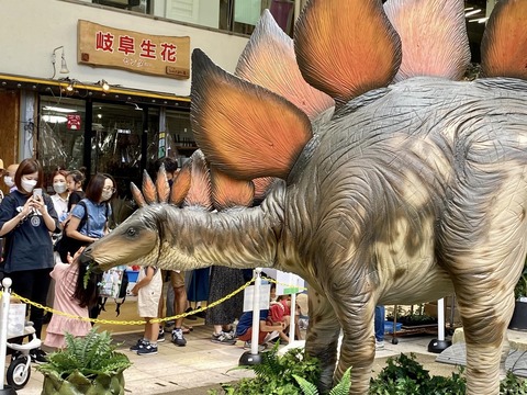 306274291_5210631655713513_355202999563263596_n