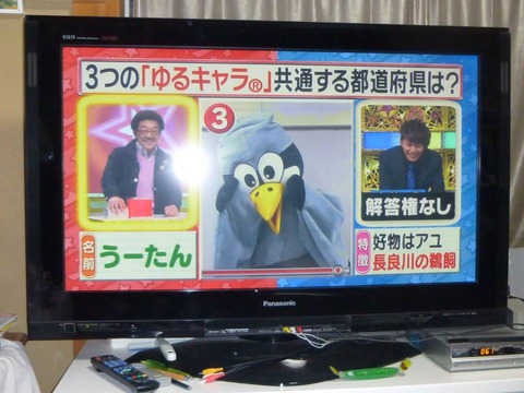 1546331_500825413360851_1284612359_n