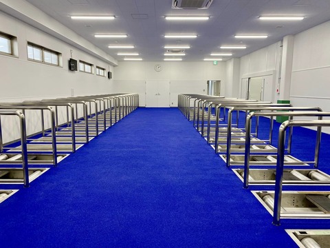 421055781_6799481563495173_671844060530375813_n