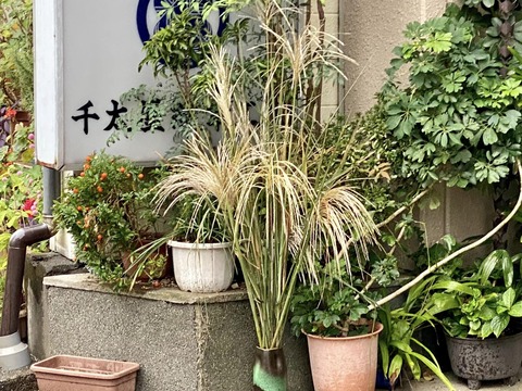 311860946_5270931546350190_6757353049076785836_n