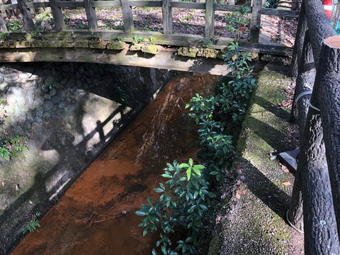 50597990_1848507561925956_480367645103751168_n