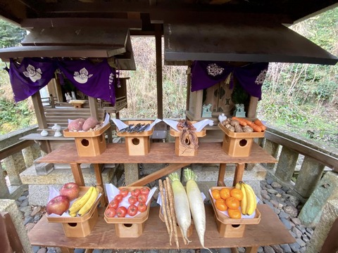 421090185_6806635632779766_7859461596336899198_n