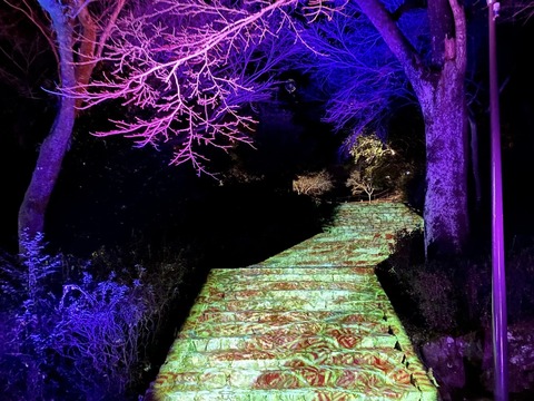 325792833_418824333761181_408473242543913124_n