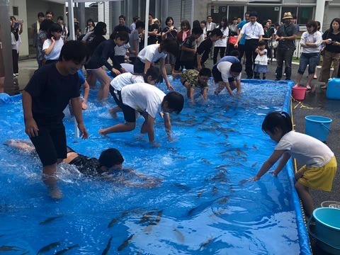 65391118_2089022627874447_3763544412576022528_n