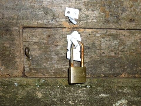 62350_334079946702066_2010543169_n