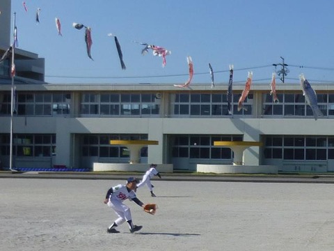 936350_376272512482809_593026904_n