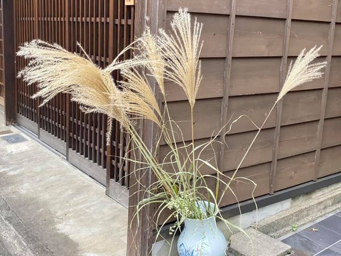 246772842_4198255440284478_6300817074955353977_n