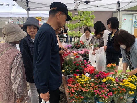 64962798_2067533686690008_265818991988047872_n