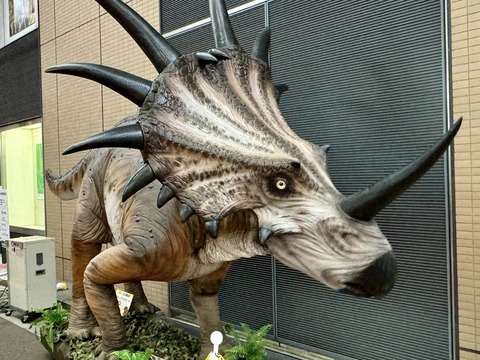 461837019_8117873641655952_6310183710011534096_n