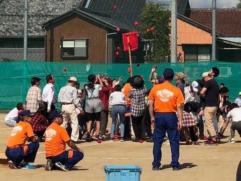 44144645_1712099545566759_465843826645270528_n