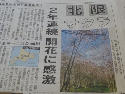 1009339_394779927298734_1469384039_o