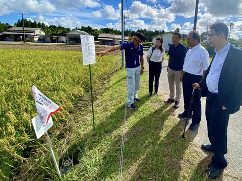 368593055_6233326806777321_8811994368179861354_n