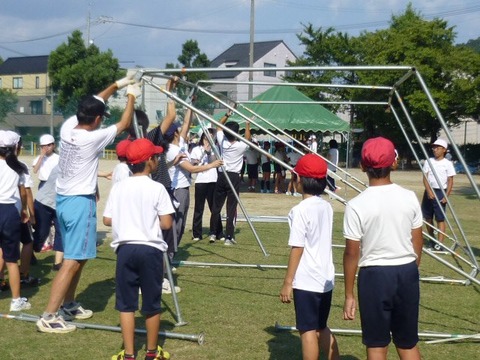 422861_285523604891034_1842537803_n