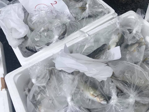 65601946_2089022711207772_2076885312050561024_n