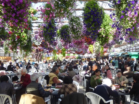 16602963_1109208242522562_2466678655311351495_n