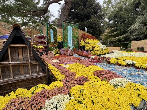 587705043_24967955552887830_6958717597227403306_n