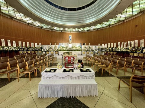 468451848_8481817115261601_7844624757947298175_n