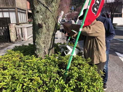 29541339_1471167502993299_2948394646503201677_n