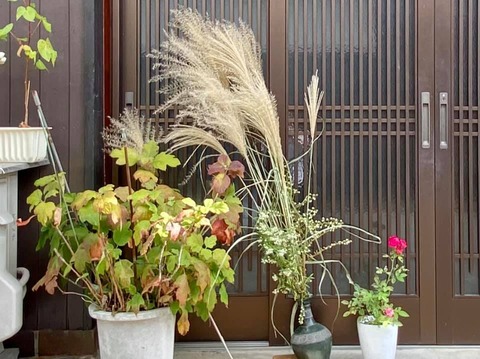 247496589_4198254383617917_3951257079581165237_n