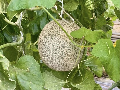 357698419_6076086125834724_579029297373970137_n