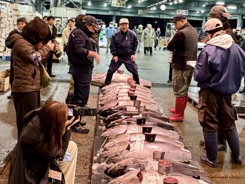 608066915_25324680117215370_5943938696590208401_n