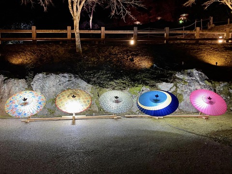 326233762_907670693697094_4850254236593344891_n