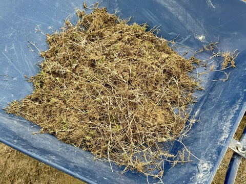 484582269_9119511654825474_1224045137545002043_n