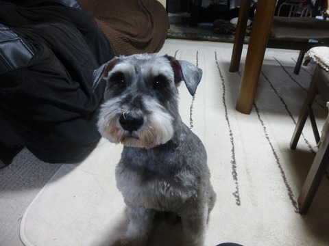 10615957_646104468832944_1979422263361048709_n