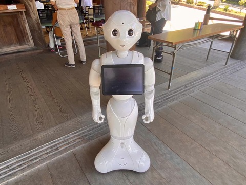 361623146_6129936490449687_6644209143054653261_n