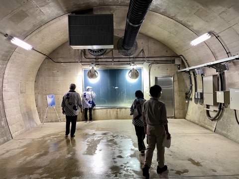 305762610_5203764069733605_133001542247509528_n