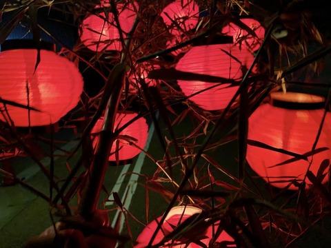 367710895_6220007254775943_2663547464641317429_n