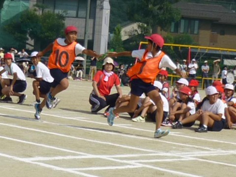 561579_285968394846555_1840580861_n