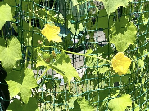 361588860_6131747206935282_4313636036430427408_n