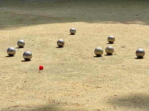 295293242_5043321562444524_2187954651664167033_n