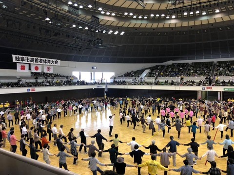 44933783_1726477857462261_1738339372551372800_n