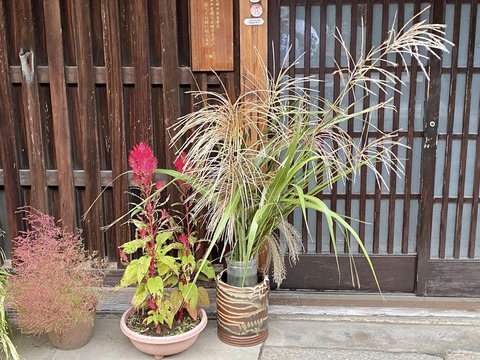 311663681_5270931593016852_5551725998240221123_n