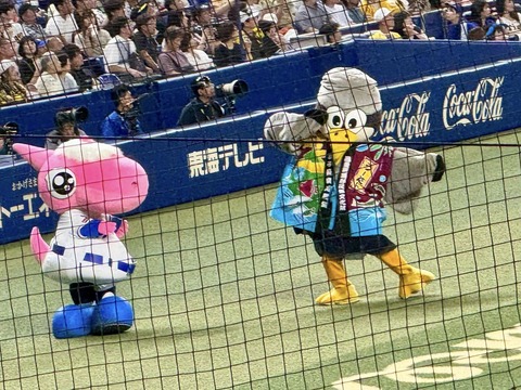 451420988_7586968108079844_8005938078558477943_n