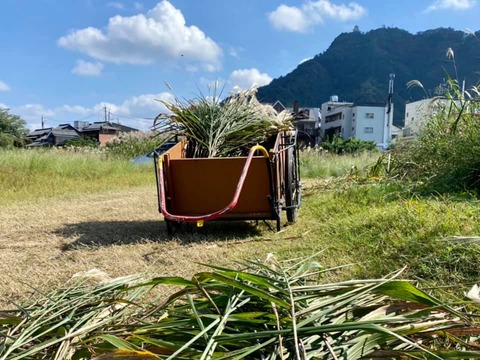 246416115_4189973314446024_2222324837812912527_n