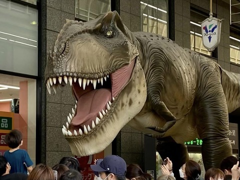 305922895_5210631585713520_1491555022334998254_n