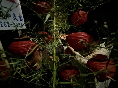 367934442_6220007364775932_2215450527210639897_n