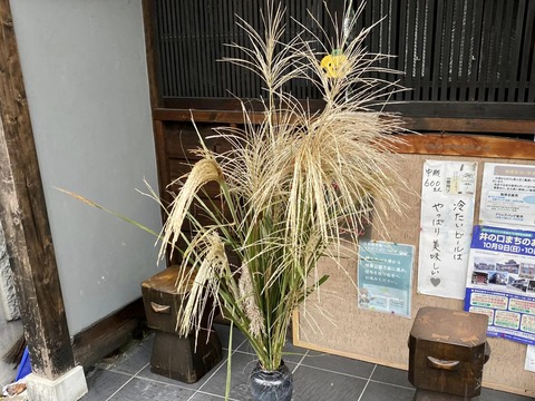 306666113_5270931316350213_2538223515184764871_n