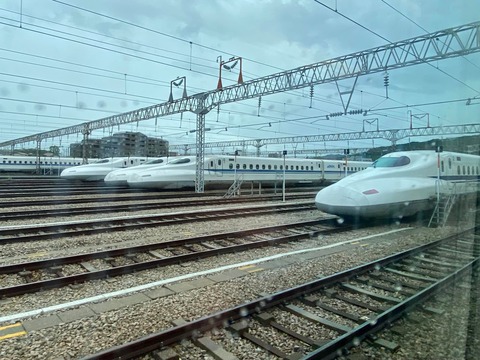 299005145_5111204258989587_1811202511696270187_n