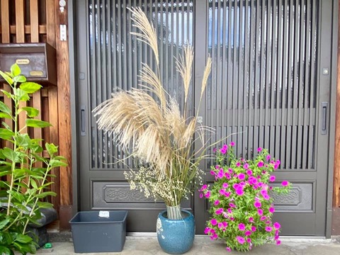 247568414_4198254876951201_4995325273088632156_n