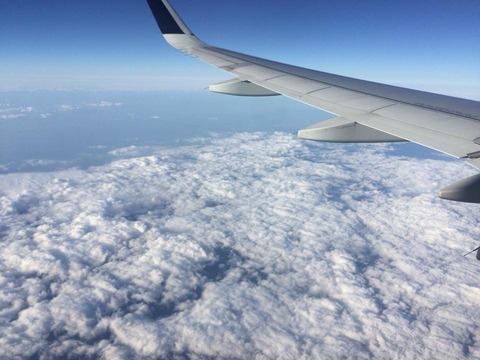 22728747_1332061923570525_1951943303245887916_n